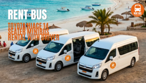 ايجار ميكروباص هايس بالسائق