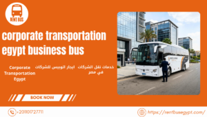 خدمات نقل الشركات في مصر مع اتوبيس مرسيدس 50 راكب